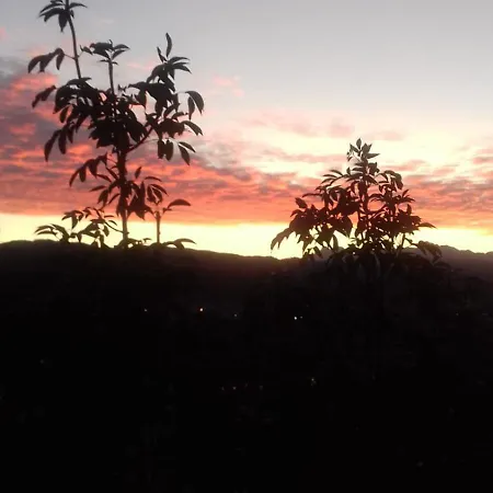 Il Paradiso All'improvviso * 韦扎诺利古勒