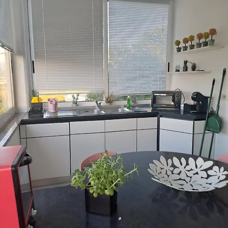 Il Paradiso All'improvviso * 韦扎诺利古勒