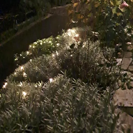 Il Paradiso All'improvviso 度假居 韦扎诺利古勒