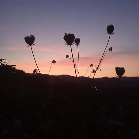 Il Paradiso All'improvviso Dom wakacyjny *