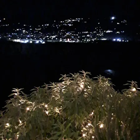 度假居 Il Paradiso All'improvviso *