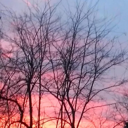 Il Paradiso All'improvviso