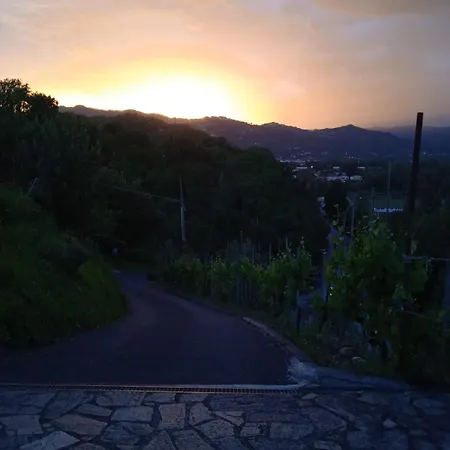 Il Paradiso All'improvviso *