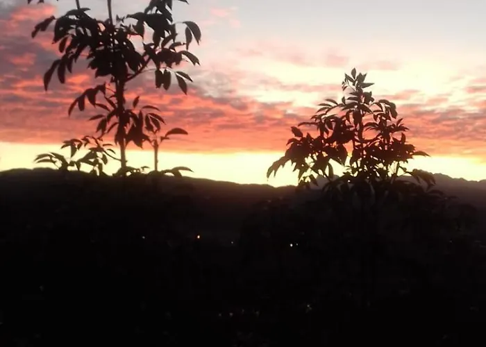 Il Paradiso All'improvviso * Vezzano Ligure