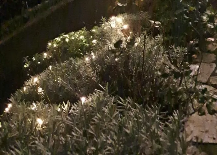 Il Paradiso All'improvviso Дом отдыха Веццано-Лигуре